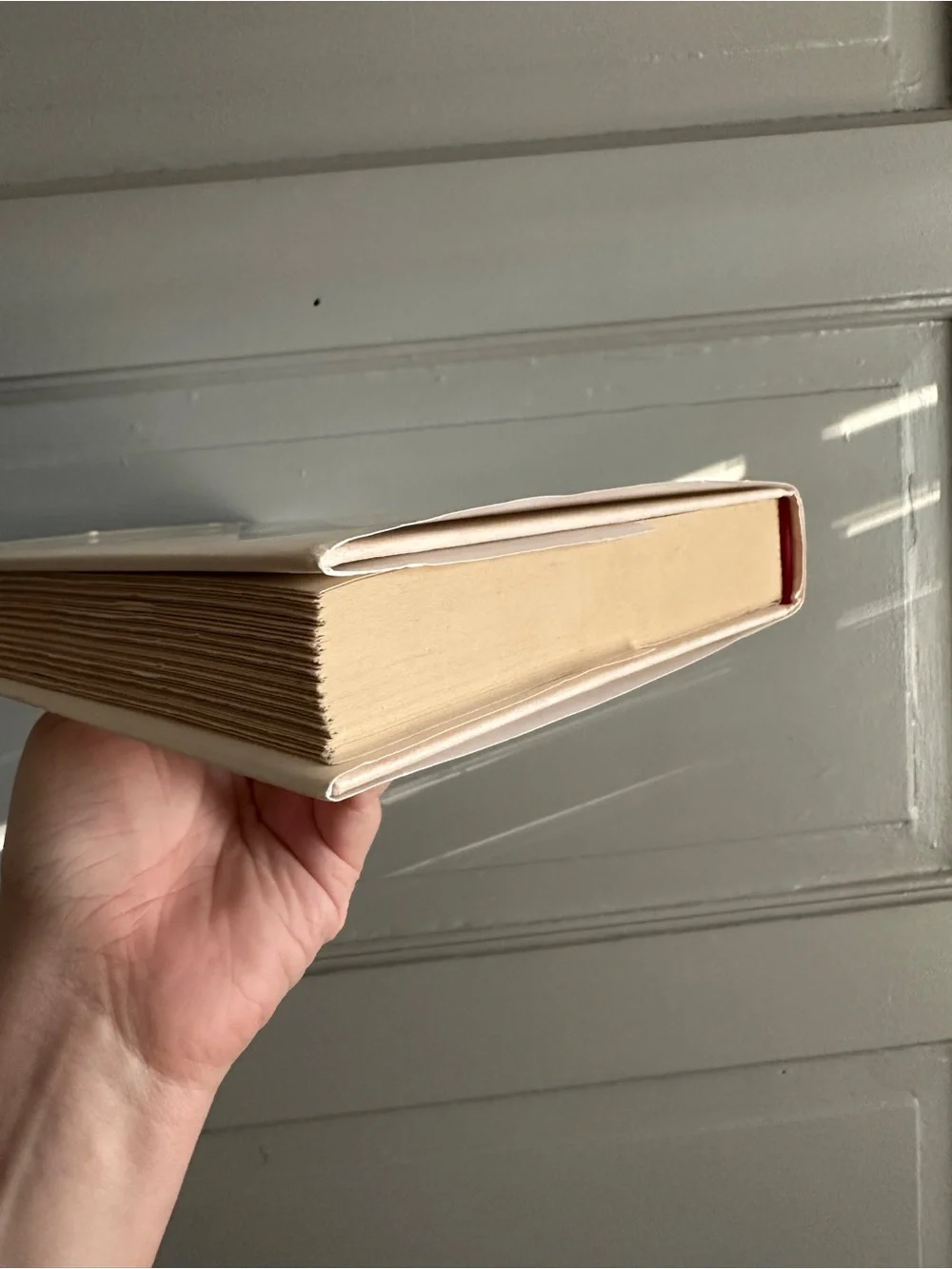 Z: a Novel of Zelda Fitzgerald by Therese Fowler